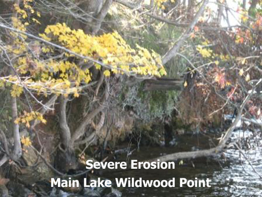 Wildwood Point Erosion on Main Lake