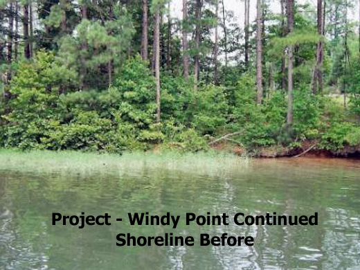 Erosion problems along Windy Point Subdivision on Lake Gaston