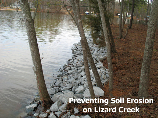 preventing soil erosion on Lizard Creek
