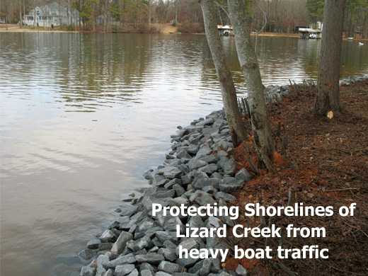 Protecting shorelines of Lizard Creek on Lake Gaston