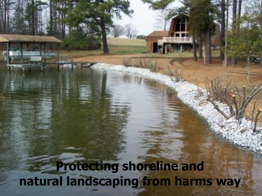 Protecting shoreline and natural landscaping from water erosion